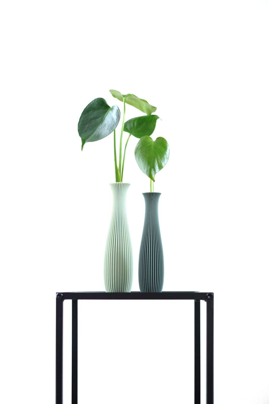 Linea Duo vase set